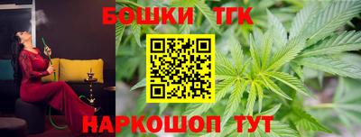 СК Дубна