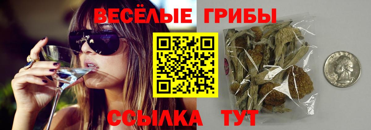 Галлюциногенные грибы Cubensis Ликино-Дулёво